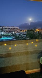 La Casina de Retamar - Retamar - 6