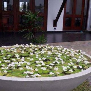 Kamatha Hotel & Restaurant - 5