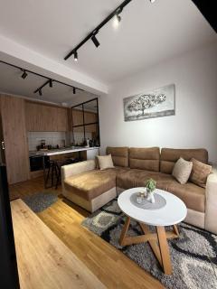Royal apartmani Vrnjačka Banja - Vrnjci - 1