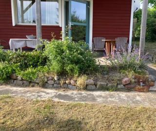 Sommerhäuschen - Zinnowitz - 7