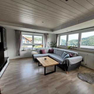 Ferienwohnung Härtel - Schramberg - 1