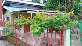 Alora Jedel Tiny Transient House in Dauis Bohol - Dauis - 9