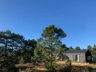 Summer House On Natural Grounds Among Pine Trees - Yderby - 4