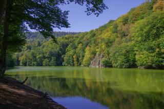 Ani Forest Hills Hotel and Resort, Dilijan - Dilijan - 0