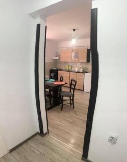 Apartament ultracentral Vatra Dornei - 0