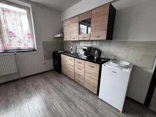 Apartament ultracentral Vatra Dornei - Vatra Dornei - 8