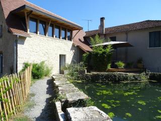 moulin de vasiliere - Salles-Courbatiès - 9