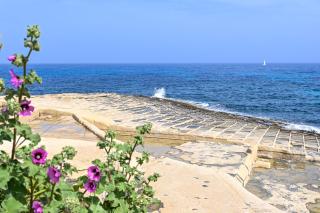 Casa Savannah from the beach - Happy Rentals - Baħar iċ-Ċagħaq - 8