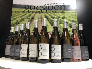 Maison de Pauline, Chablis Vineyard - Préhy - 4
