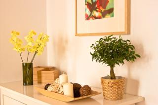 Apartamentos Madrid - Madrid - 2