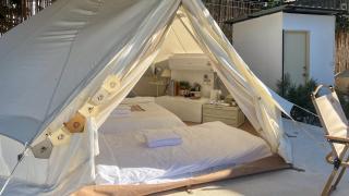 Camping Land - - 5