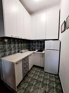 New Dorcol Ginger apartment - Belgrado - 2