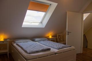 Inselblume 07 - Ferienwohnung mit Hund an der Reiterkoppel - 7
