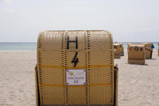 Inselblume 49 - Ferienwohnung im Erdgeschoss der Strandburg - Burgtiefe auf Fehmarn - 5