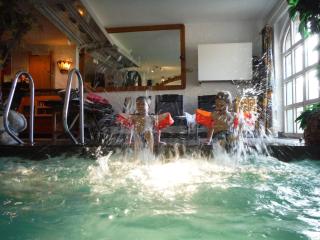 Alleinnutzung Hallenbad, Sauna, Dampfsauna In Zell - Zell an der Mosel - 7