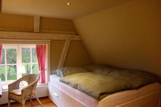 Inselblume 84 - Luxus Ferienhaus mit Reetdach auf dem Land - Fehmarn - 4