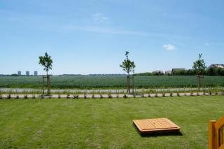 Inselblume 31 - Ferienwohnung mit zentrumsnaher Lage - Burg auf Fehmarn - 2