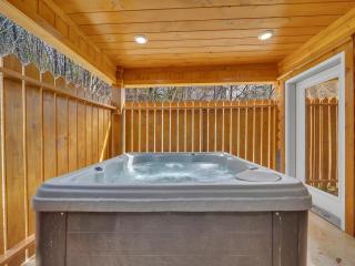 Endless Fun #3615 - Sevierville - 9