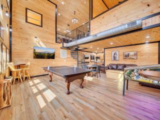 Endless Fun #3615 - Sevierville - 7