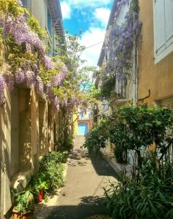 La Vigneronne between river and sea - Sérignan - 8