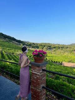 Chalet Mondifeso - Pedara - 9