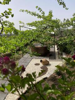 Chalet Mondifeso - Pedara - 7