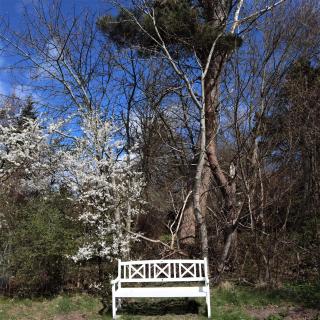 Holiday Home With Peace, Nature And Great Moments - Jægerspris - 2