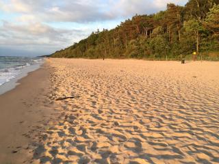 Domki letniskowe Arkadia - 8