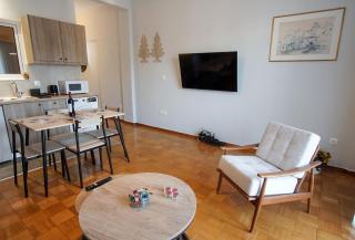 Cozy Nest, One-Bedroom Flat - Atene - 8