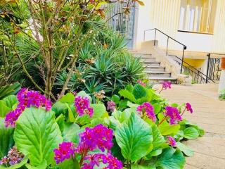 Spacious Appartment 5 min to sea - Nice - 3