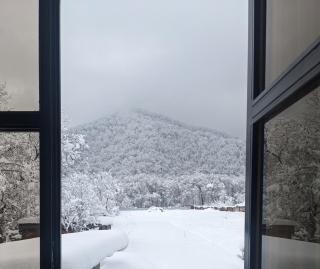 Tomas Guesthouse - Lagodechi - 3