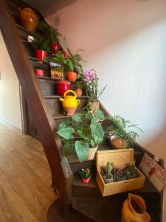 Chambres Olhatsia - Ilharre - 7