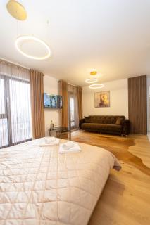 Golden Luxury Apartment - Braşov - 5