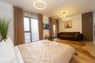 Golden Luxury Apartment - Braşov - 6