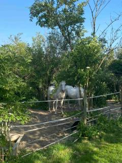 Quiet house near Disneyland - 2