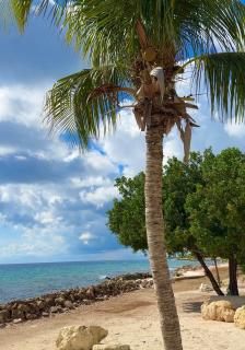 Victoria by the Sea - Willemstad - 4