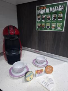 Apartamento PREMIUM La Biznaga - Málaga - 2