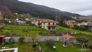 Paraíso - 5