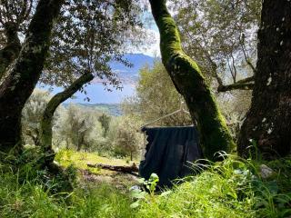 Maison avec vue imprenable - Olmeto - 5