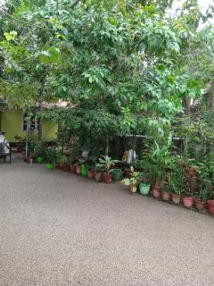 Greens Homestay Varkala - Varkala - 9