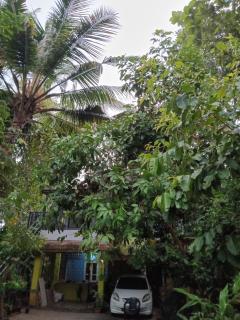 Greens Homestay Varkala - Varkala - 8
