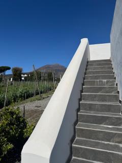 Vigna delle Rose - Trecase - 3