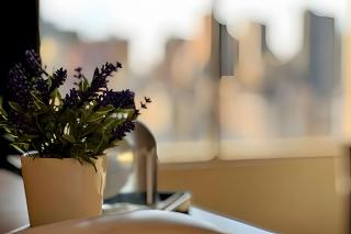 Slaviero Essential Londrina Flat Hotel - Londrina - 5
