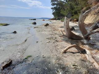 Le Phoenix de la Palmeraie - 1