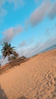 Le cocon tropical - 3