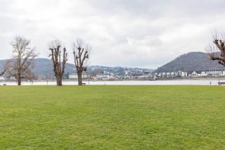 Rheinapartment Dependance 8 - 2