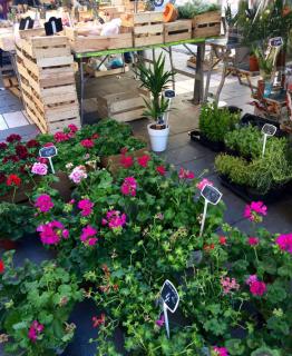 Ma place au sud Nice 604 - Nizza - 5