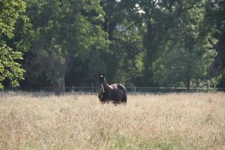 Ferienhaus Am Untergut in der Klingelstraße - 3