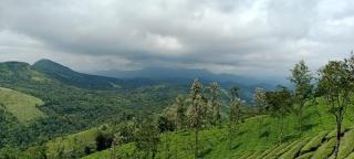 Silver homestay - Vagamon - 1