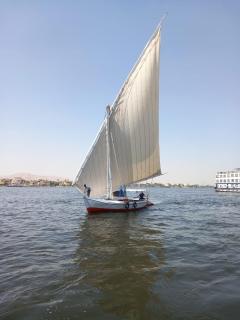 فلوكة نيلية - Luxor - 2
